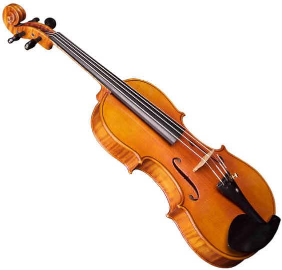 Violon